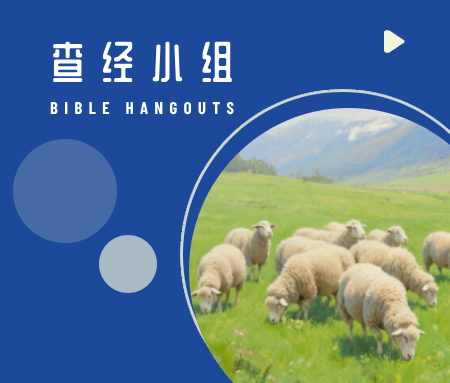 小羊查经班