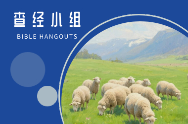 小羊查经班